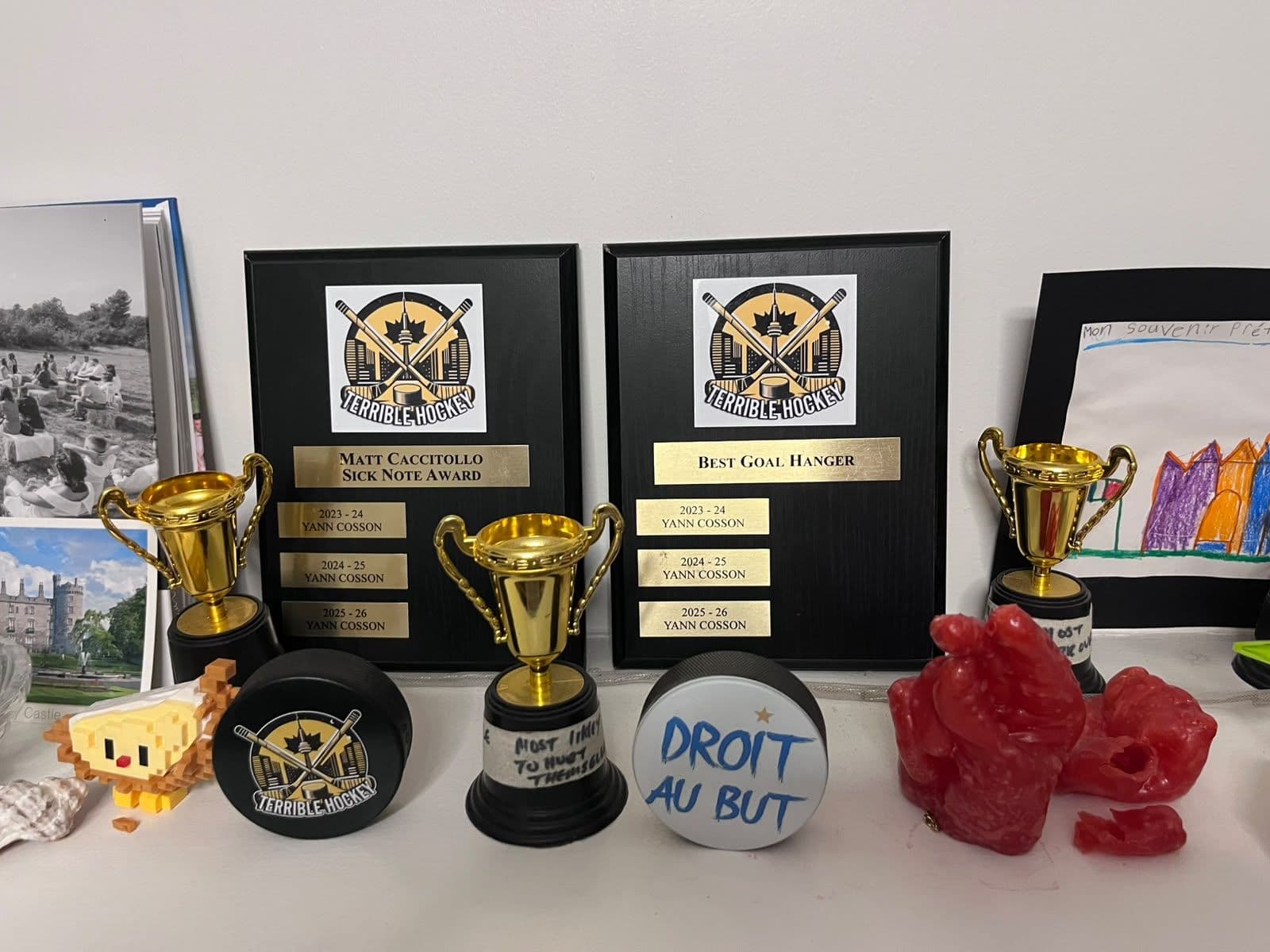 Terrible Hockey award plaques and trophies on a shelf